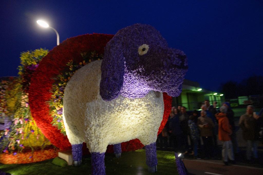 ../Images/Bloemencorso Noordwijkerhout 238.jpg